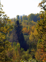 Pokaini stone agglomerates, Dobele castle, Nakotnes park - Housity