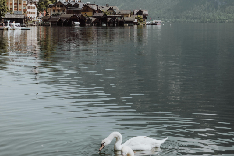 From Vienna: Hallstatt and Salzburg Full-Day Guided Tour