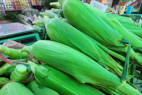 From Penang: Cameron Highlands Refreshing Private Day Tour