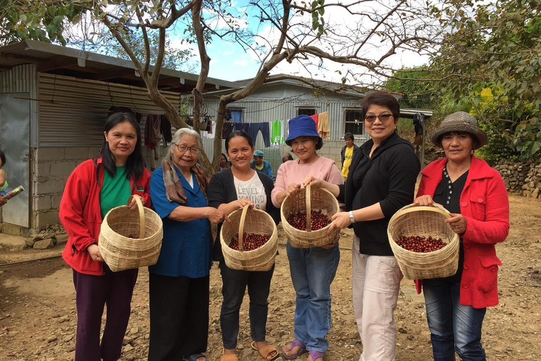 TAGAYTAY :Coffee Experience Amadeo Farm Tour & Tasting