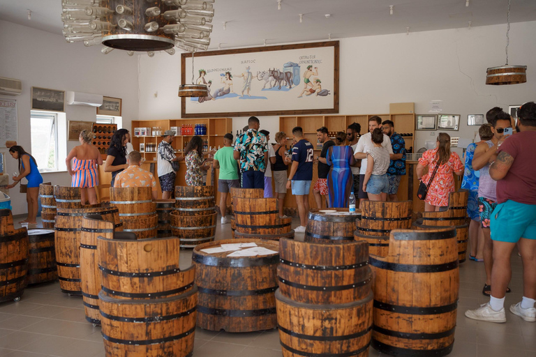 From Paphos: Baths of Aphrodite, Sea Caves and Wine Tour