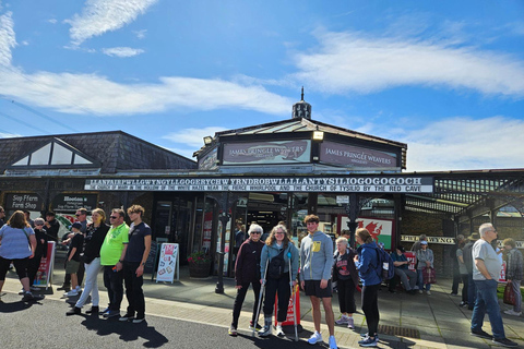 Au départ de Holyhead : Visite touristique du Pays de Galles du Nord Excursion à terre