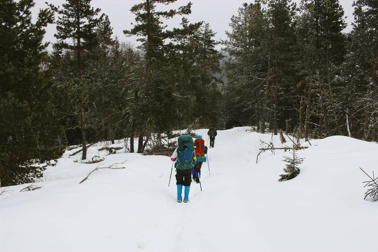 Snowshoeing in Georgia: Borjomi-Kharagauli National Park