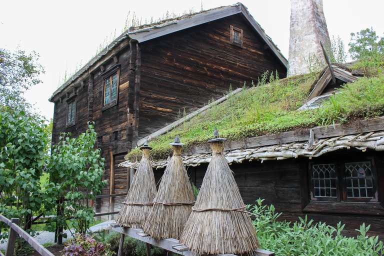 Stockholm: Personalized Guided Tour for Families