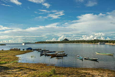Alter do Chão: Full-Day Amazonian Highlights