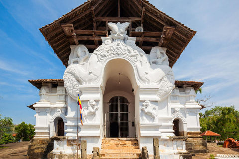 Guided City Tour with Ambuluwawa and Pinnawala