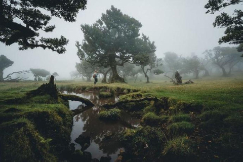 Fanal Assobiadores Trail Machico, Santa Cruz pickup hotels