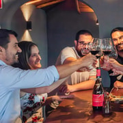 Algarve: Vineyard Tour & Premium Wine Tasting in Silves