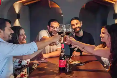 Algarve: Vineyard Tour & Premium Wine Tasting in Silves