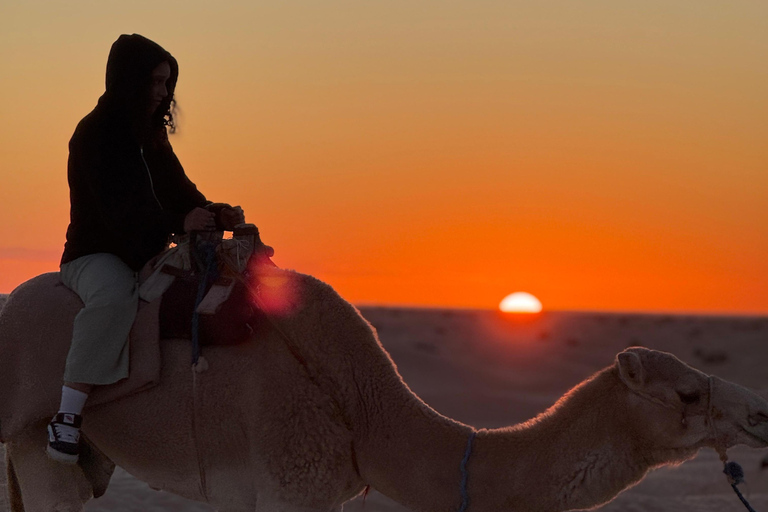 Sahara Desert: Overnight Camel Trek in Tunisia