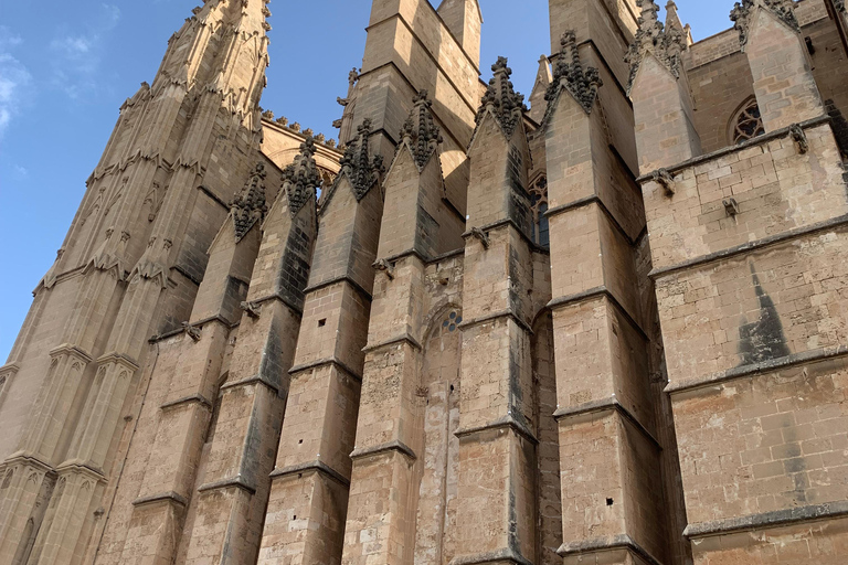 Palma de Mallorca: Private Guided Walking Tour with Tapas