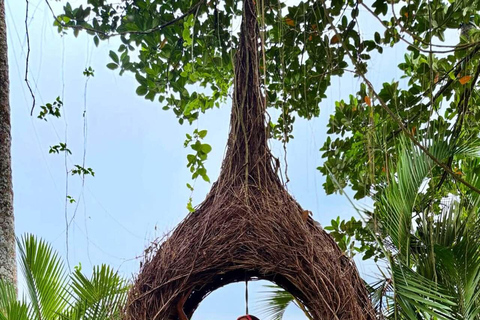 Bali: Ubud Swing, Rice Terrace & Temple Private Day Tour