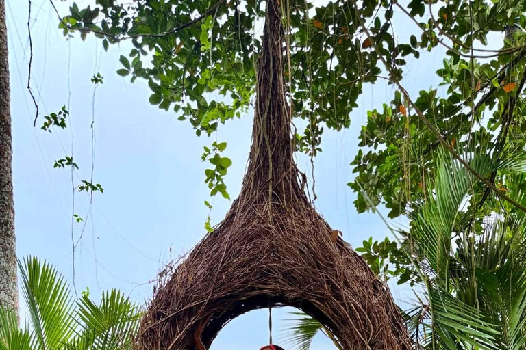 Bali: Ubud Swing, Rice Terrace & Temple Private Day Tour