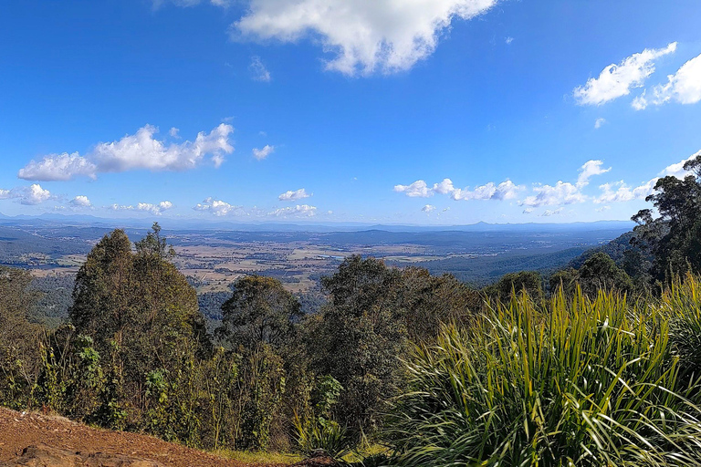 Desde Brisbane: Excursión a la Montaña Tamborine y Paradise Point