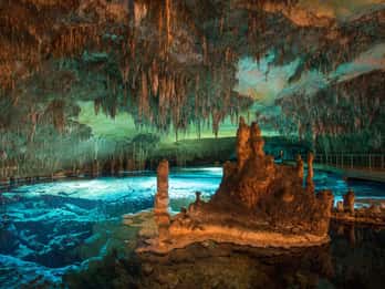 Mallorca: Excursión de un día a las Cuevas del Drach y del Hams, y Porto Cristo