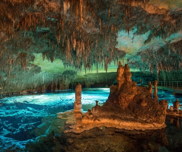 Mallorca: Drach and Hams Caves, and Porto Cristo Day Tour