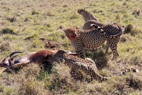 Au départ de Nairobi : Excursion de deux jours dans le parc national d'Amboseli