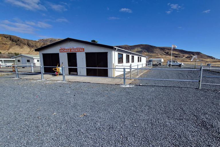 雷克雅达尔尔：家庭与初学者骑马之旅雷克雅达尔尔：家庭及初学者骑马游览