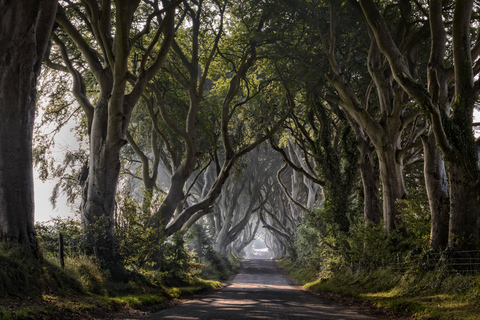 Von Belfast aus: Giant&#039;s Causeway und Game of Thrones TourLuxuriöser Mercedes für 1-3 Personen