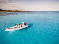 De Stintino, tour de meio dia de costela em Asinara Gulf - Housity