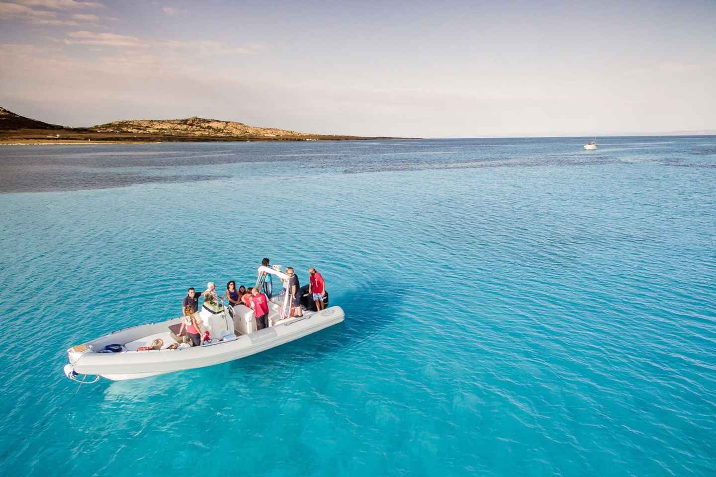 From Stintino: Half-day dinghy tour in Asinara Gulf