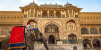 Amber Fort Entry ticke Skip-the-Line With Guide - Housity