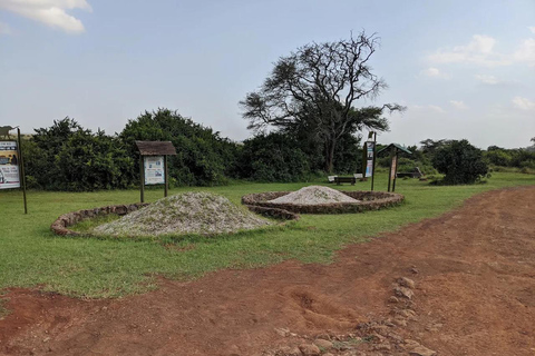 Nairobi National Park Luxury Picnic Game Drive