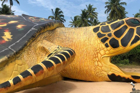 Colombo: Galle Fort, River Safari, and Coast Day Trip From Colombo, Negombo and kaluthara to Galle Fort