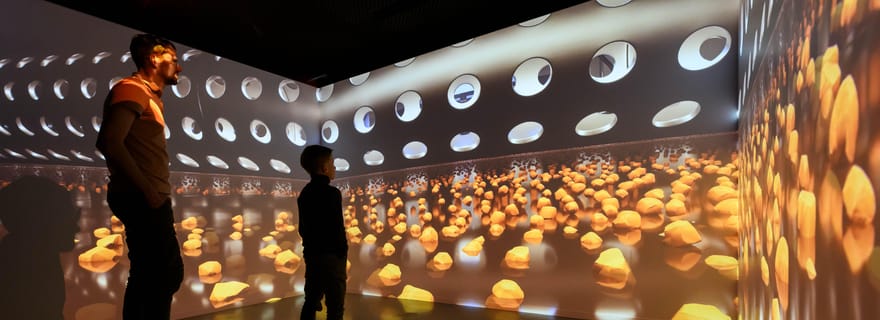 Heule : Visite guidée « Chocolat Trail » chez le chocolatier Vandenbulcke