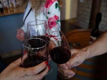 Albufeira: City Highlights & WINE TASTING