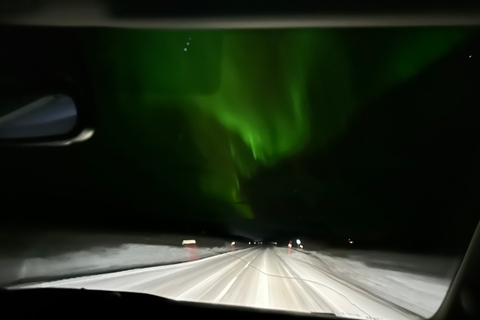 Excursion en minibus dans le parc national d'Abisko pour observer l'aurore boréale