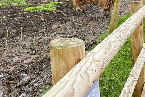 Greenock: Loch Lomond, Luss, and Stirling Castle Tour