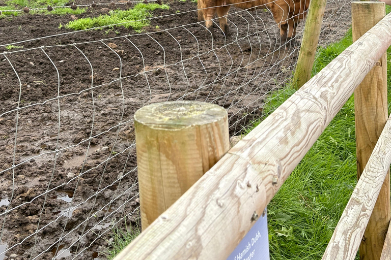 Greenock: Loch Lomond, Luss, and Stirling Castle Tour