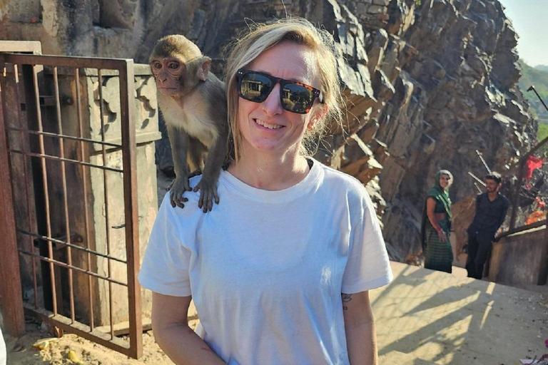 Jaipur: een privédagtour met de auto en een gidsJaipur: privé sightseeing-dagtour met auto en gids