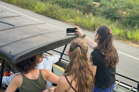 Viagem de 11 dias para fazeres uma caminhada com chimpanzés, seguires os gorilas e veres a vida selvagem