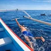 Lovina/Bali: Sunrise Dolphin Watching, Swimming & Snorkeling