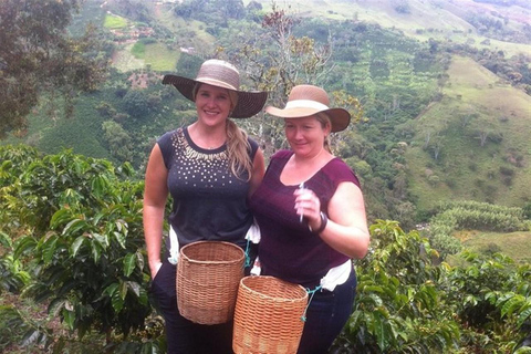 من ميديلين: جولة قهوة خيريكو لمدة يومين