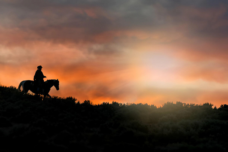 Punta Cana: Sunset Horseback Ride in Macao Beach and Forest