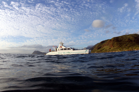Luxury Sunset Cruise, Snorkeling, Dolphin Watch, & Buffet Oahu: Private Sunset Snorkel & Dolphin Watch with Dinner