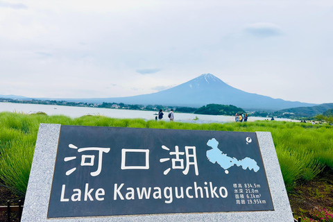 Tokyo: Mt. Fuji &amp; Hakone Cherry Blossoms Private Day Tour