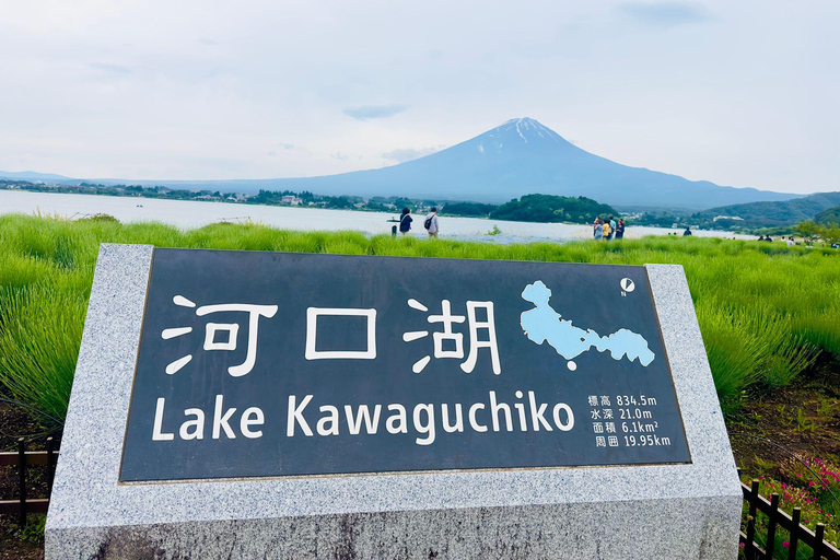 Tokyo: Mt. Fuji &amp; Hakone Cherry Blossoms Private Day Tour