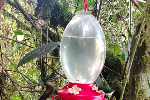 Quito: Waterfall, Hummingbirds, Butterfly Tour, Equator line