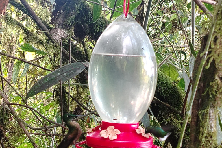 Quito: Waterfall, Hummingbirds, Butterfly Tour, Equator line