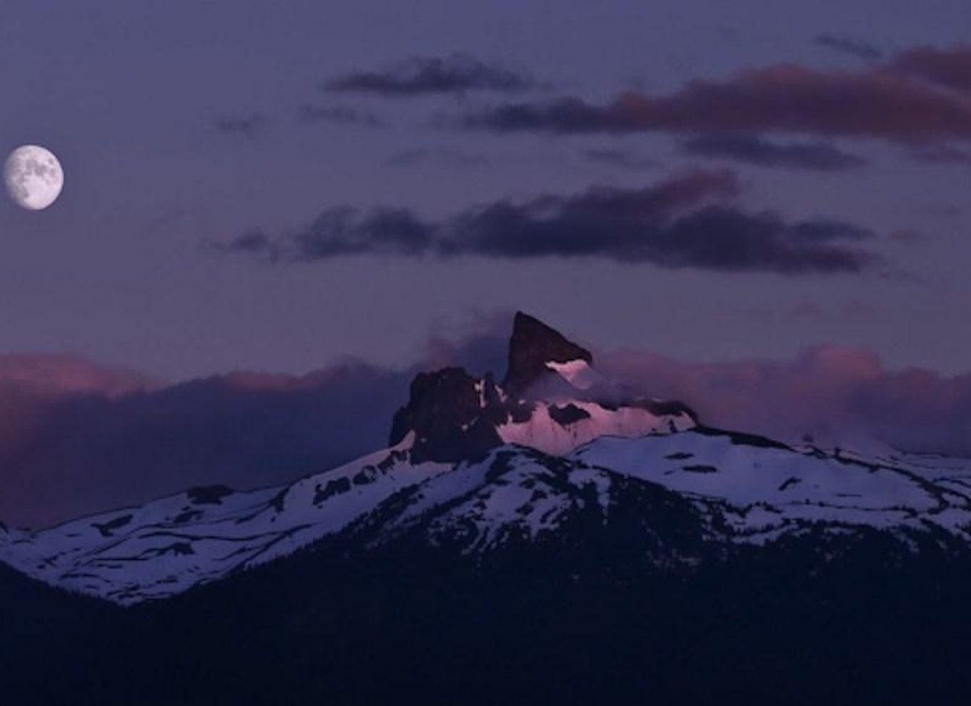Whistler: Morgen med bjørnene Land Rover naturskøn udflugt