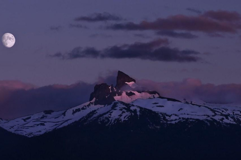 Whistler: Morning with the Bears Land Rover Scenic Tour
