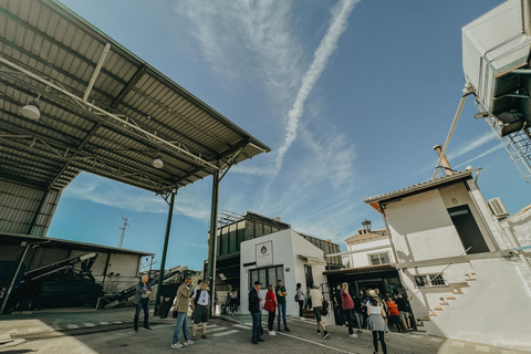 Jaén: Guided Olive Mill Tour with Olive Oil Tasting Visite Guidée du Moulin à Huile d'Olive