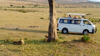 Nairobi National Park Ganz-/Halbtagestour & Guide + Pick/Drop - Hizvo