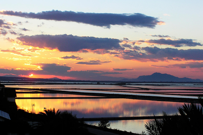 Santa Pola Historical and Landscape and Flamenco with Show and Dinner