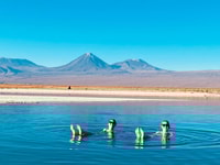 Cejar Lagoon Tour, San Pedro de Atacama - Housity
