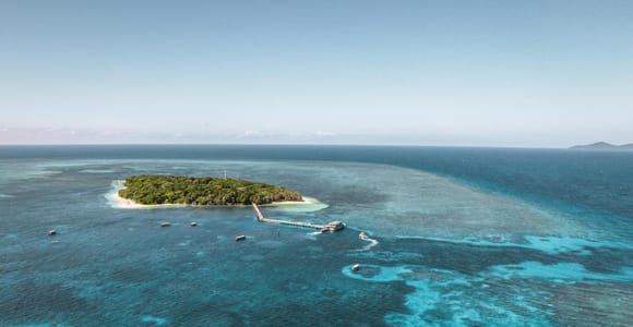 From Cairns: Half-Day Afternoon Cruise to Green Island